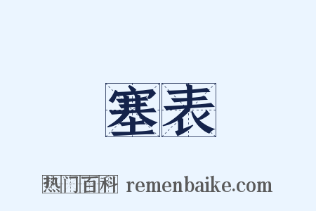 塞表是什么意思的图片